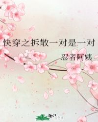 我靠皇帝的宠爱帅炸官场