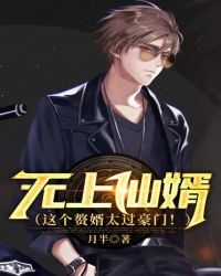 无上仙婿（这个赘婿太过豪门！）