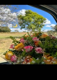 我死后帝君火葬场了